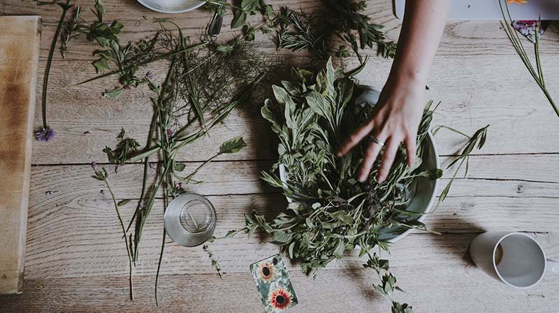 Clary Sage helps balance hormones